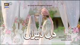 Dil-e-Veeran Episode 55 - 3rd Aug 2022